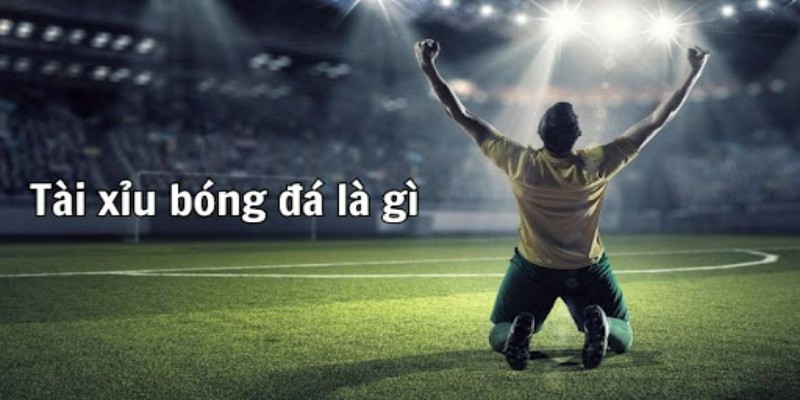Khái niệm Cách Bắt Tài Xỉu Bóng Đá