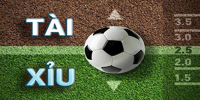 Hướng Dẫn Cách Bắt Tài Xỉu Bóng Đá Siêu Đơn Giản