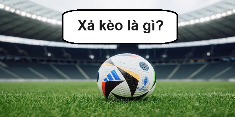 Các tính năng quan trọng xả kèo bóng đá bạn cần chú ý Các tính năng quan trọng xả kèo bóng đá bạn cần chú ý